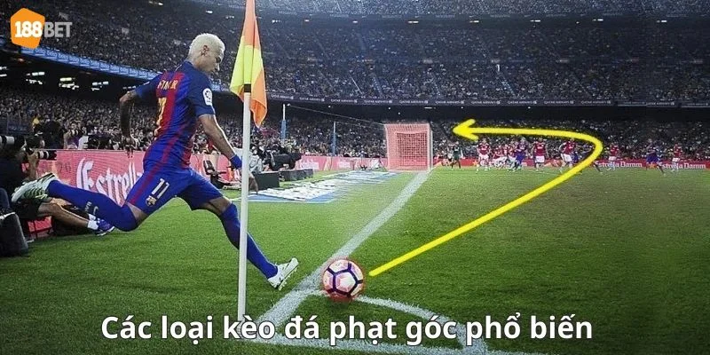 Kèo phạt góc đa dạng trong hình thức cược cá độ.
