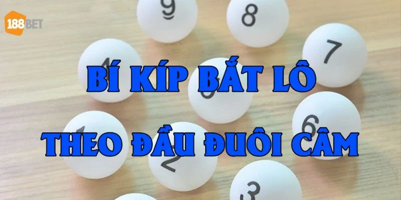 Mẹo Soi Cầu Lô Miền Bắc Hốt Bạc Tỷ Từ Cao Thủ 188Bet Kỹ thuật đánh số lô theo đầu đuôi câm có tính chính xác cao.