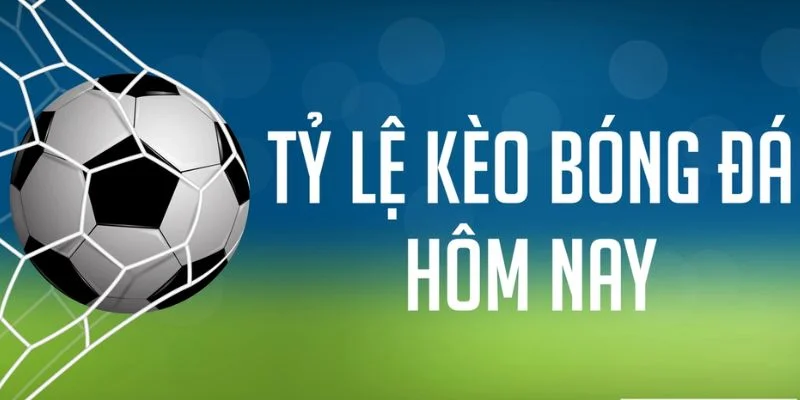 Tỷ Lệ Kèo Nhà Cái: Cập Nhật Tỷ Lệ Kèo Xanh Chín Số 1 - 188BET